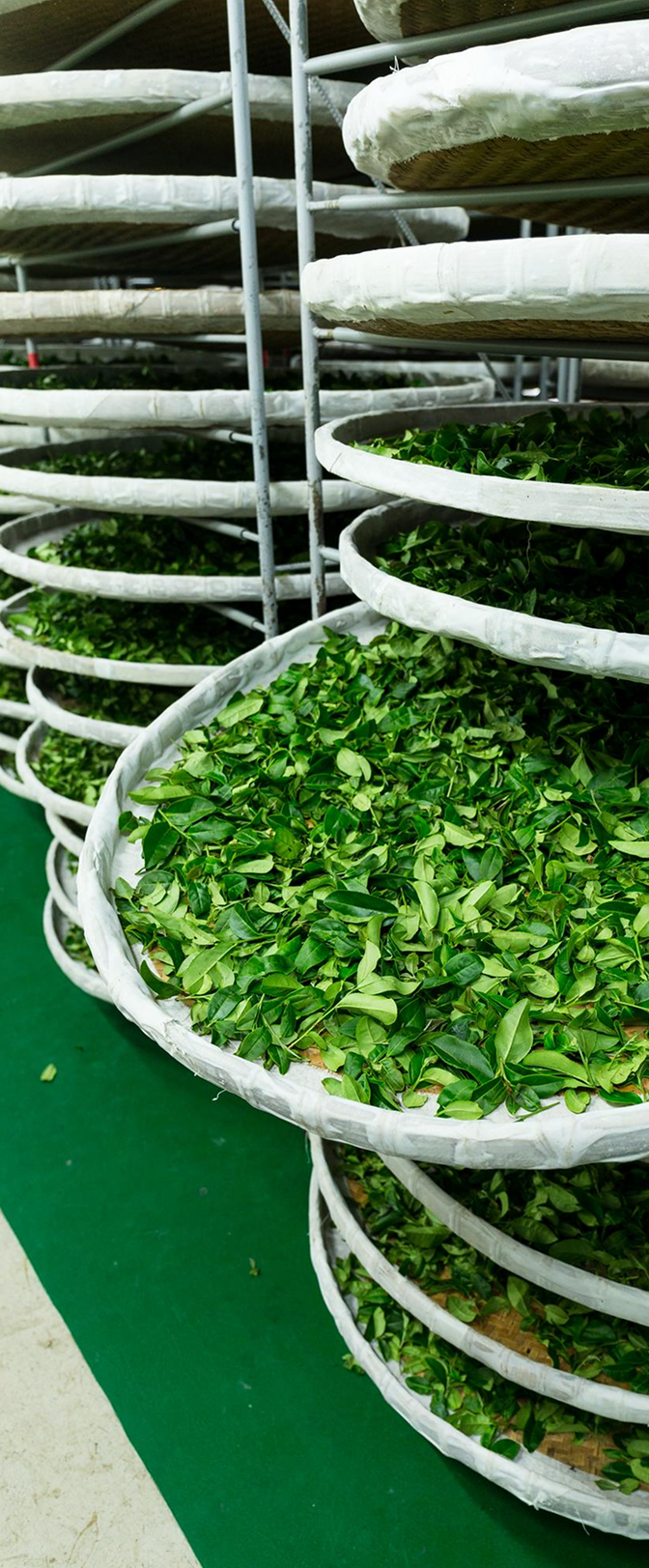 Image - image_CRKyGr